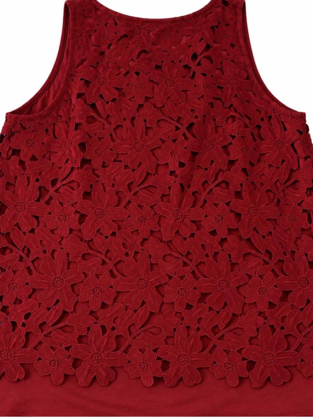 Sunday in Brooklyn Floral Lace Sleeveless Camisole - Burgundy